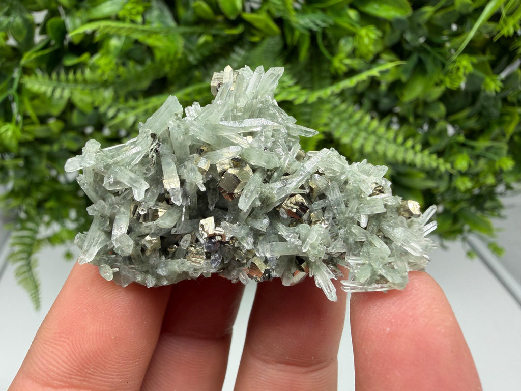 Pyrite on Green Quartz Mineral Specimen, Borieva Mine, Bulgaria