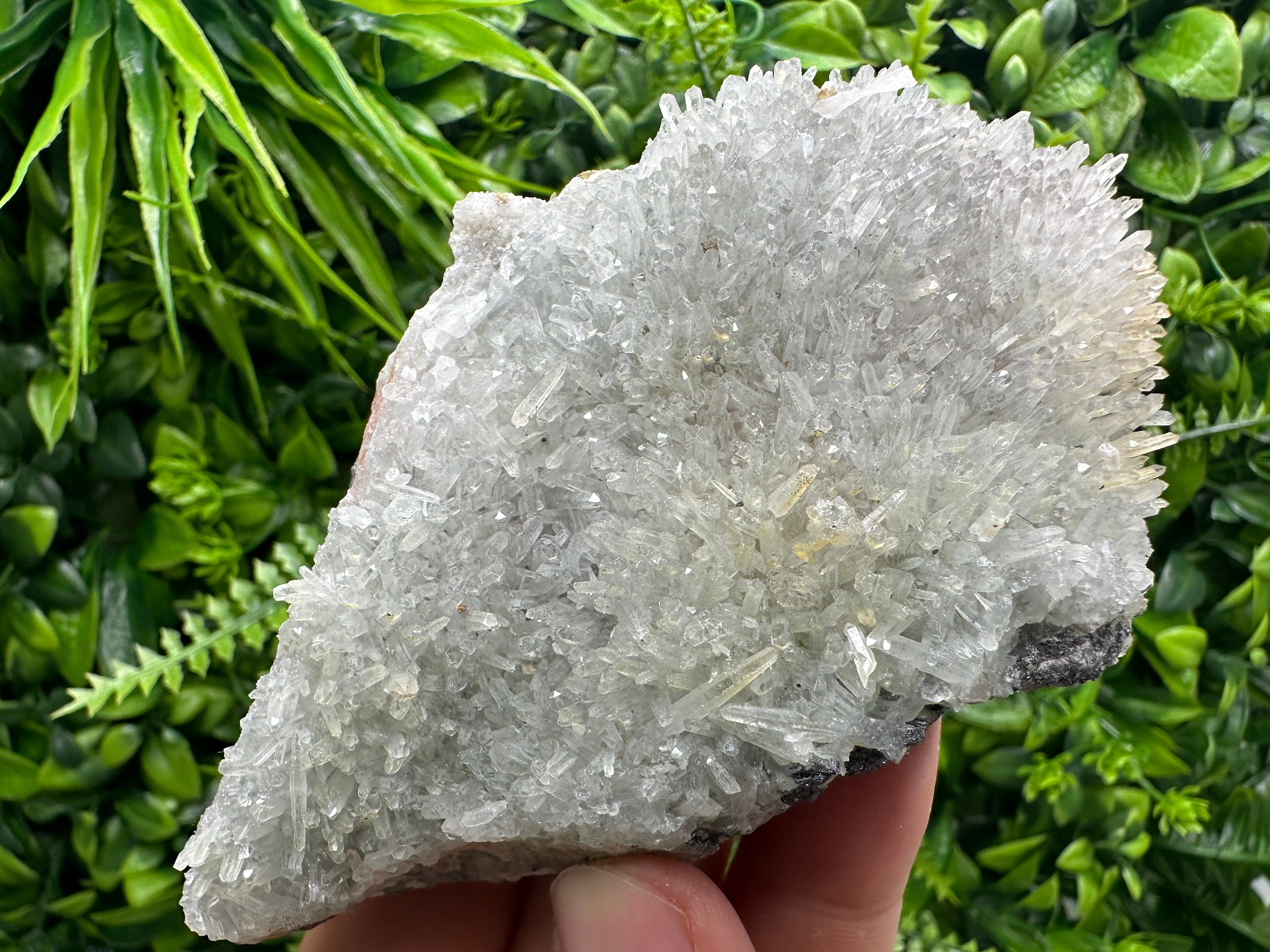 Chlorite Quartz Crystal with Hematite Inclusions - Borieva Mine Bulgaria