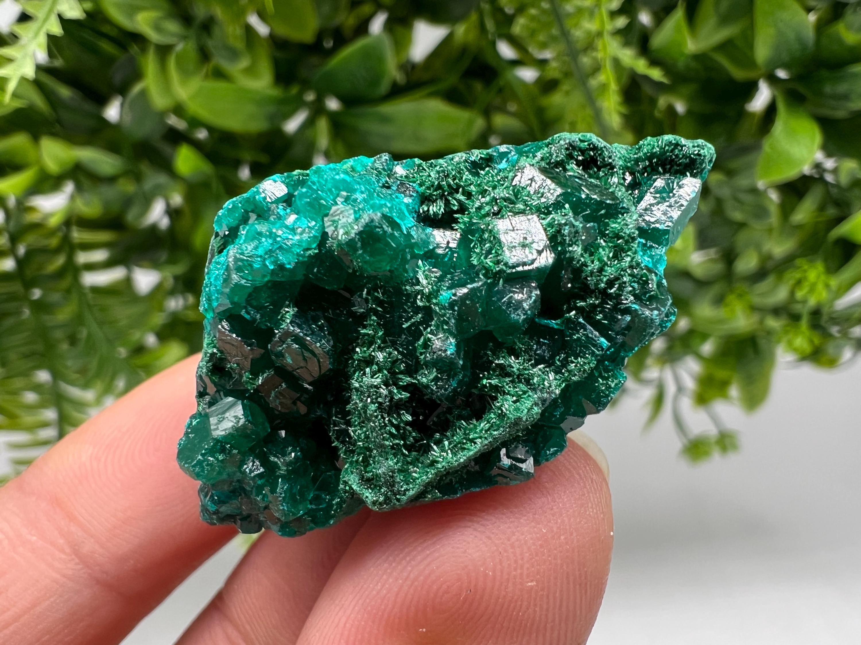 Stunning Green Dioptase from Sanda Hills,Mindouli,Pool Department,Mindouli District,Congo,green Dioptase,Dioptas Crystal,Dioptase collecting