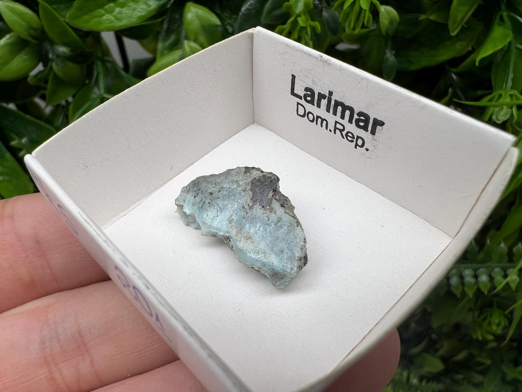 Rare Raw Larimar Specimen: Dominican Republic Mineral Collection (23/15mm