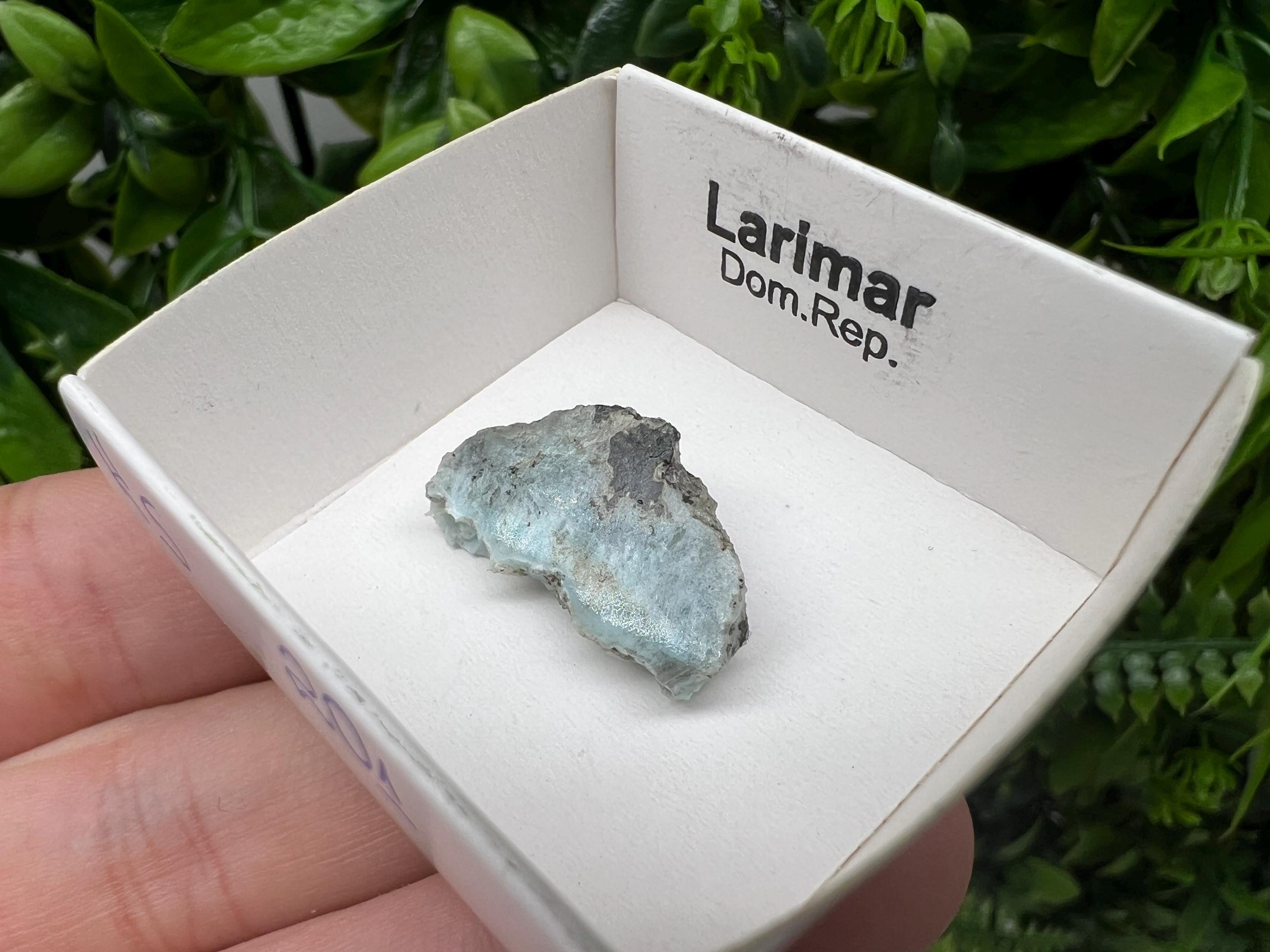 Rare Raw Larimar Specimen: Dominican Republic Mineral Collection (23/15mm