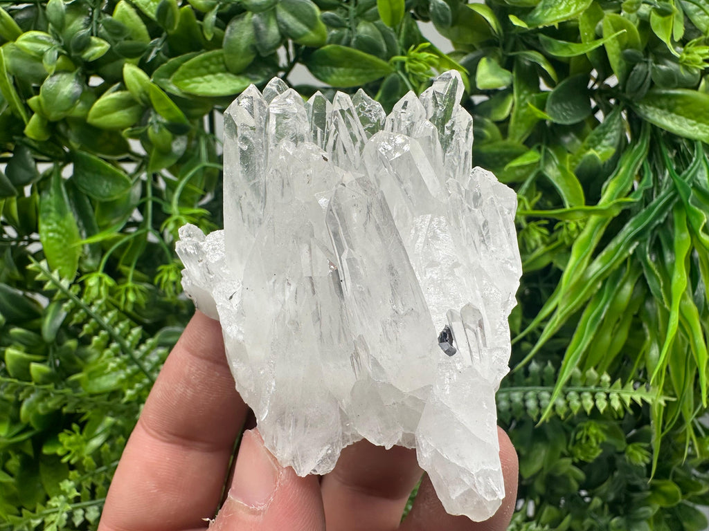 Transparent Quartz Cluster, Djurcovo Mine Bulgaria, Rare Crystal Specimen