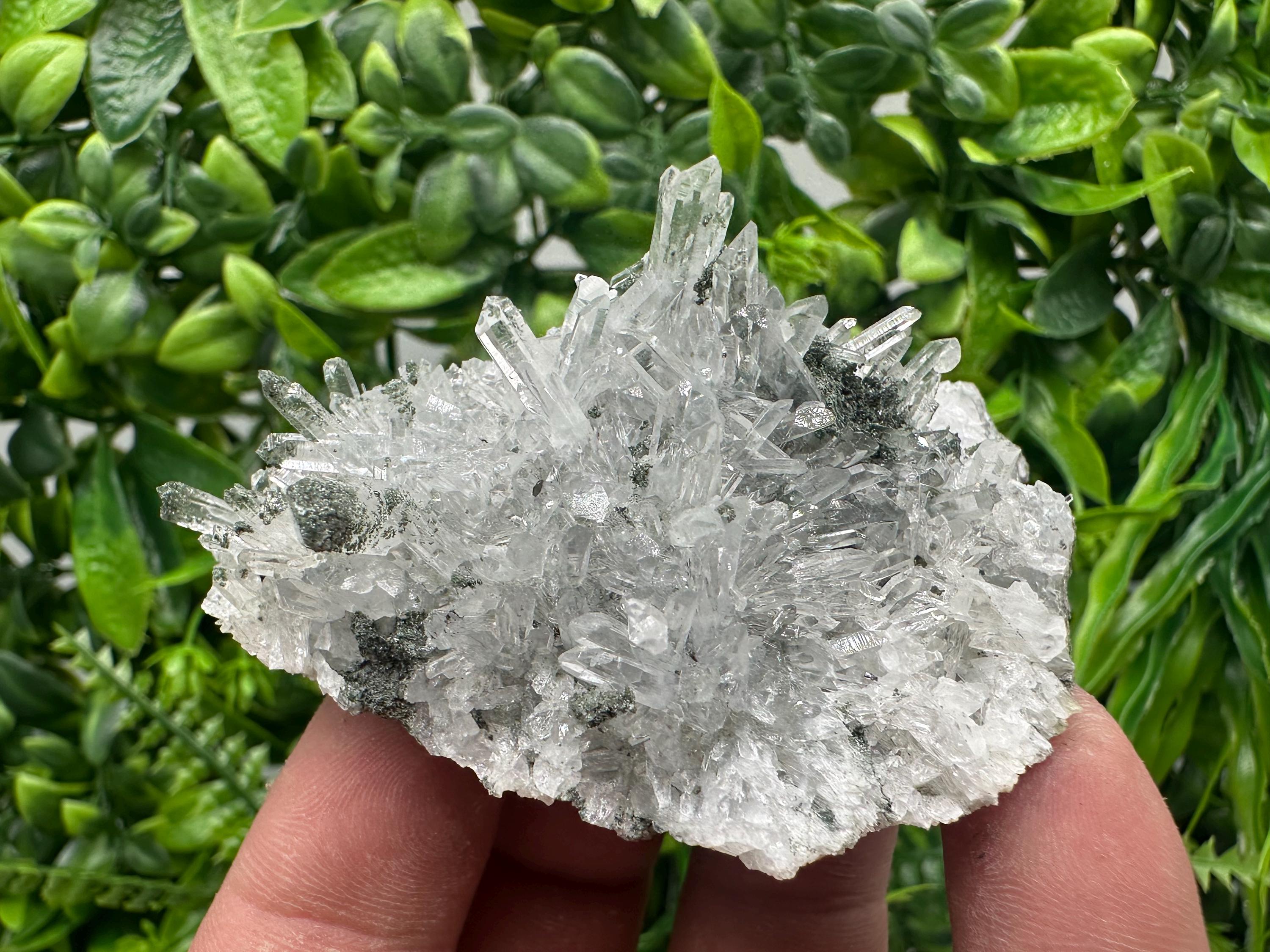 Transparent Quartz on Chlorite Matrix - Borieva Mine, Bulgaria