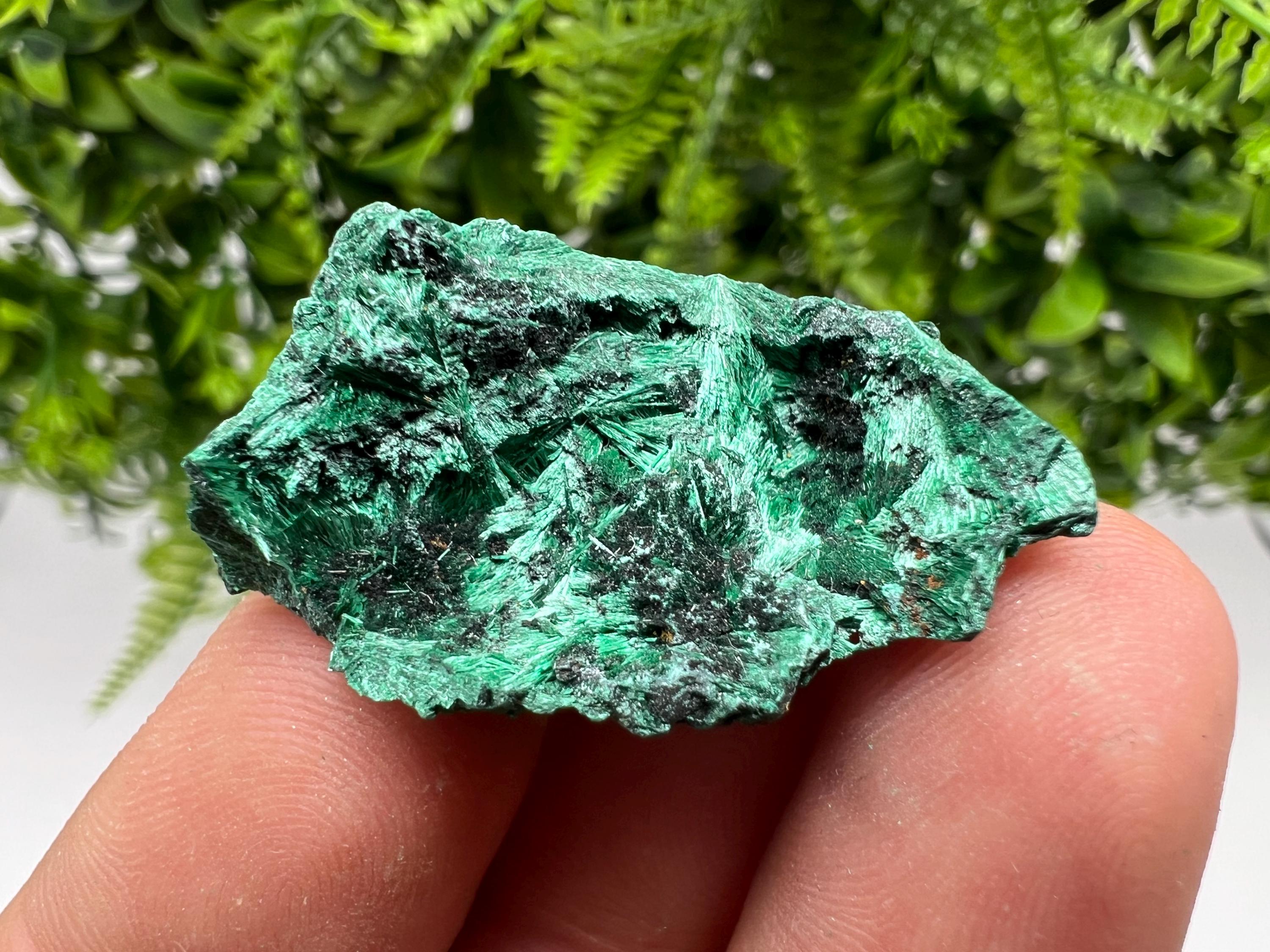 Malachite Crystal from Congo,Minerals,Crystals from Congo,Green Malachite, Malachite,Natural Malachite,Malachite Stone,Chakra, Specimens