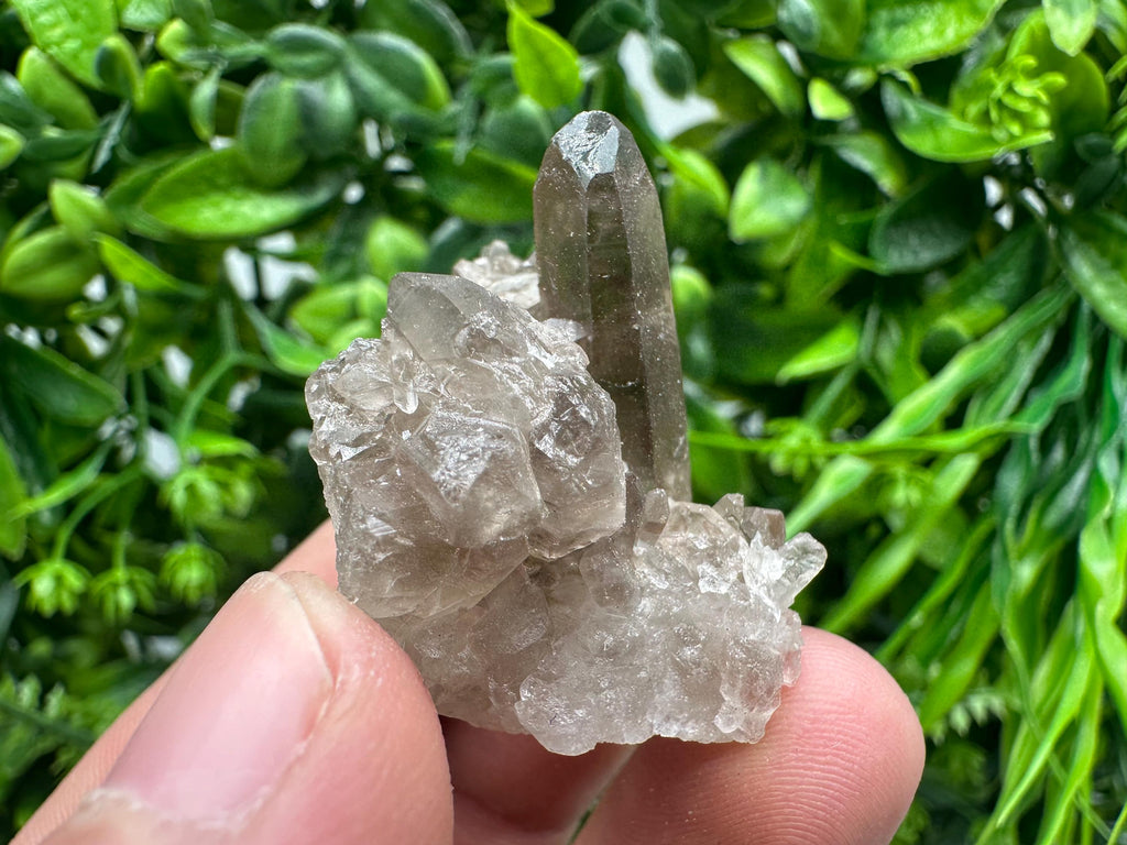 Rare Smoky Quartz Crystal Cluster, Brazil Mineral Specimen