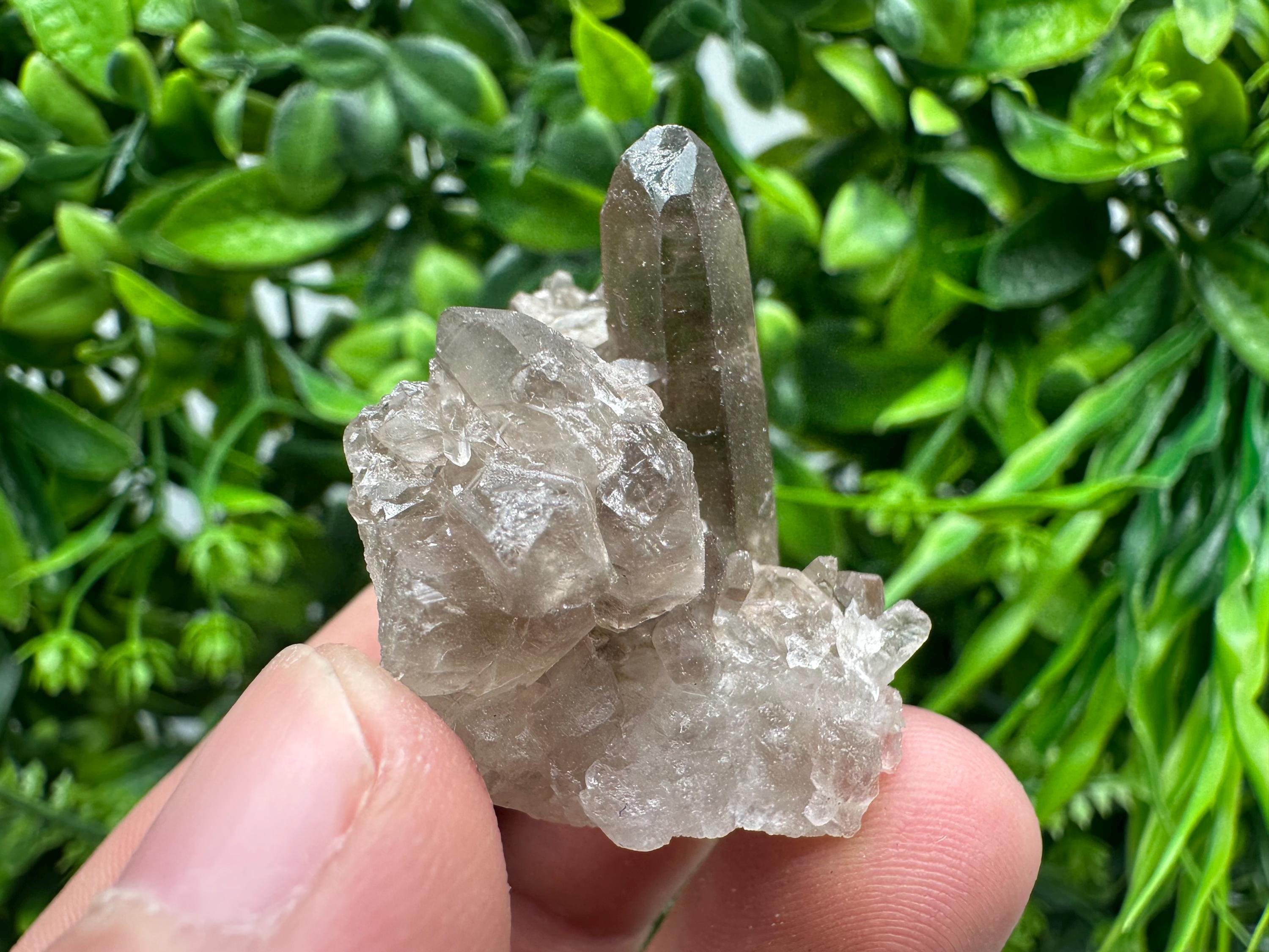 Rare Smoky Quartz Crystal Cluster, Brazil Mineral Specimen