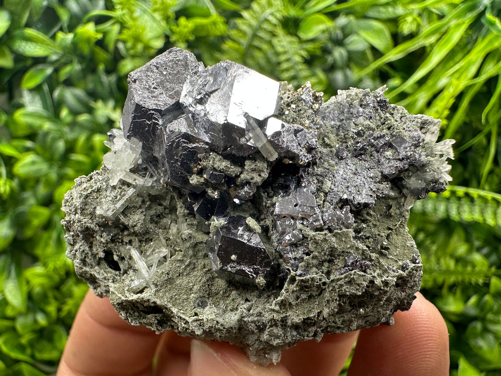 Galena on Quartz and Chlorite: Natural Minerals from Borieva Bulgaria