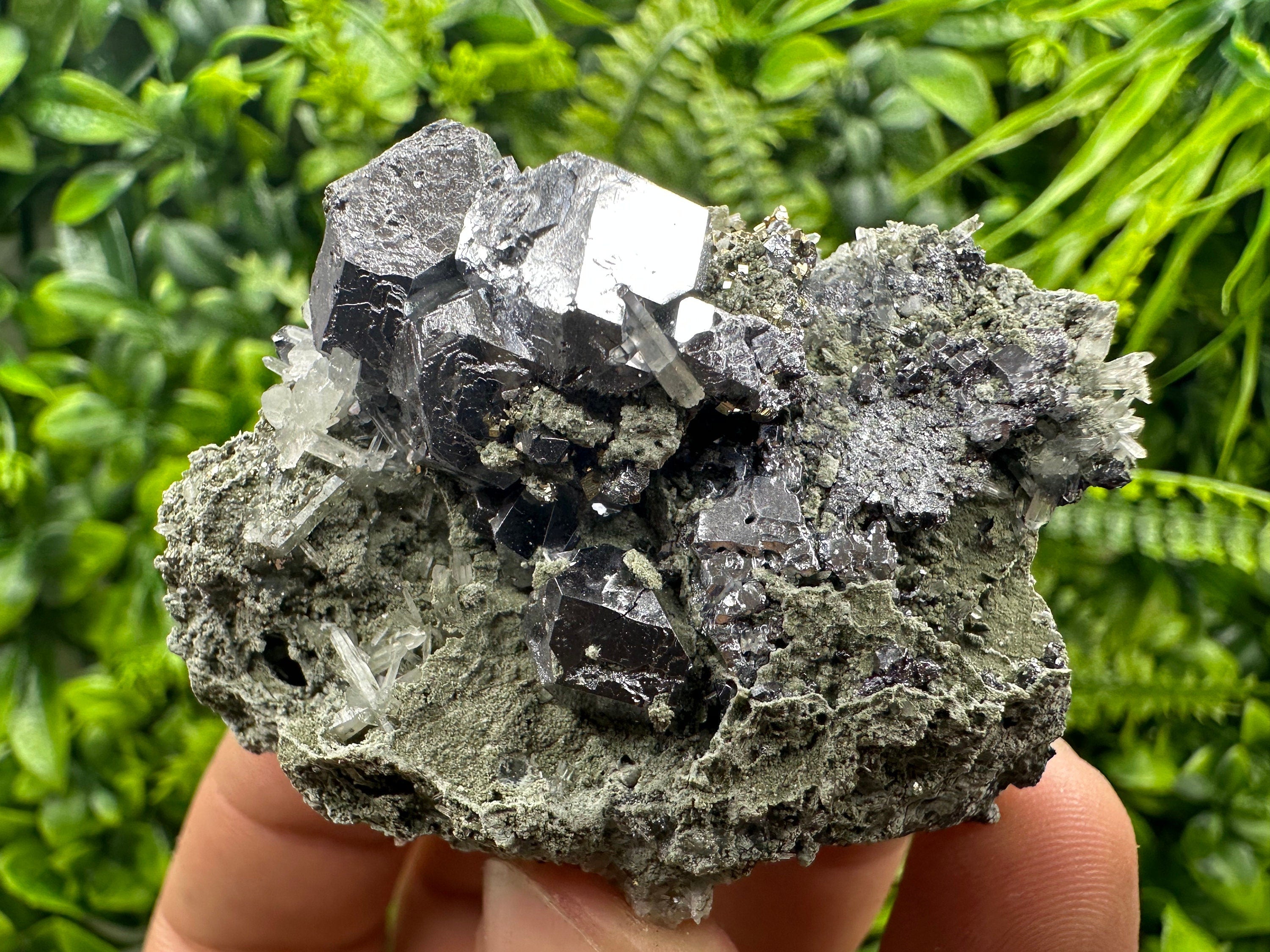 Galena on Quartz and Chlorite: Natural Minerals from Borieva Bulgaria