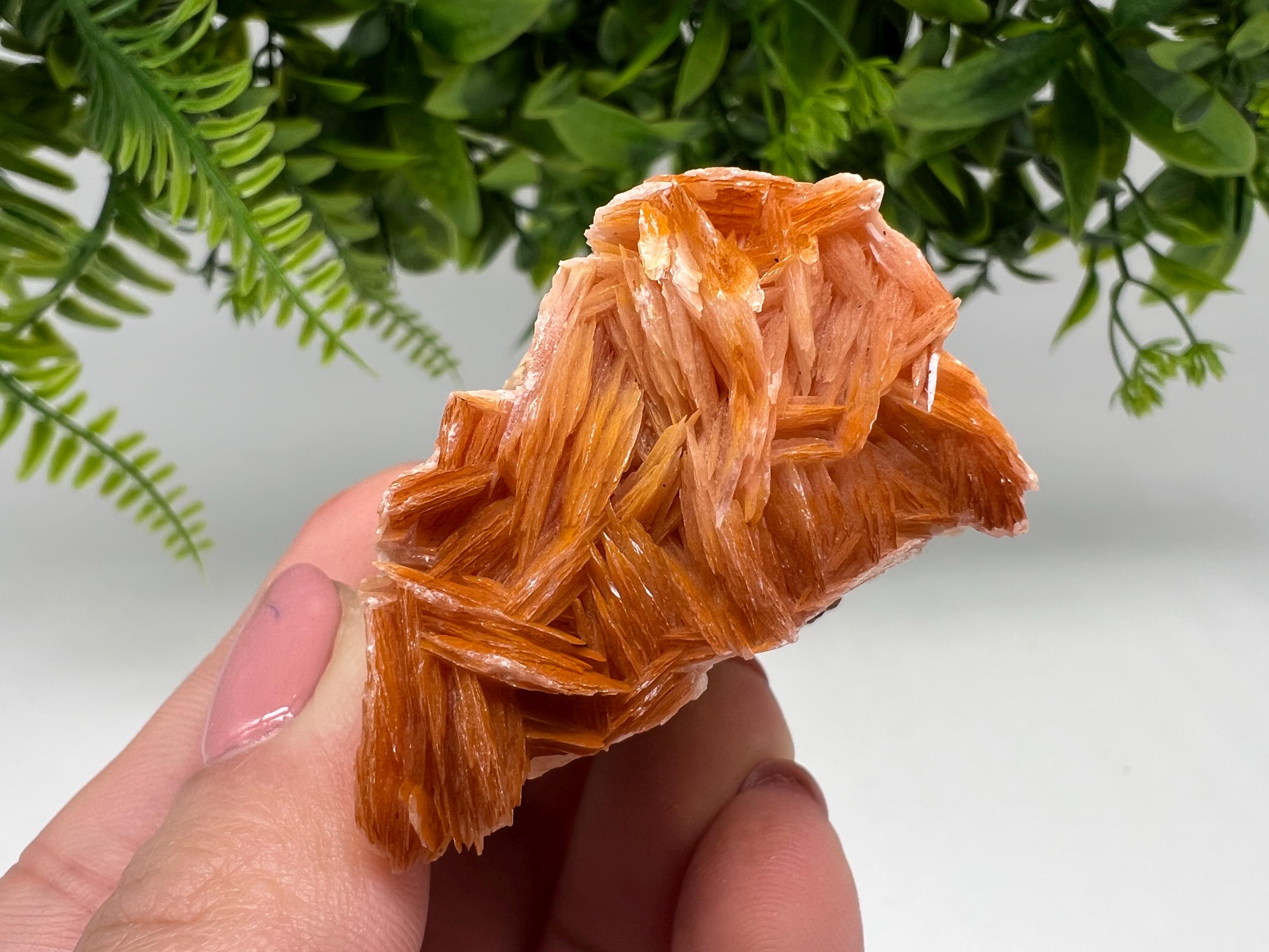 Wonderful Baryte with Cerussite on Galena from Morocco,Crystal, Mineral,Specimen,Cluster,Crystals,Barite Crystal,Cerussite Crystal,Specimen