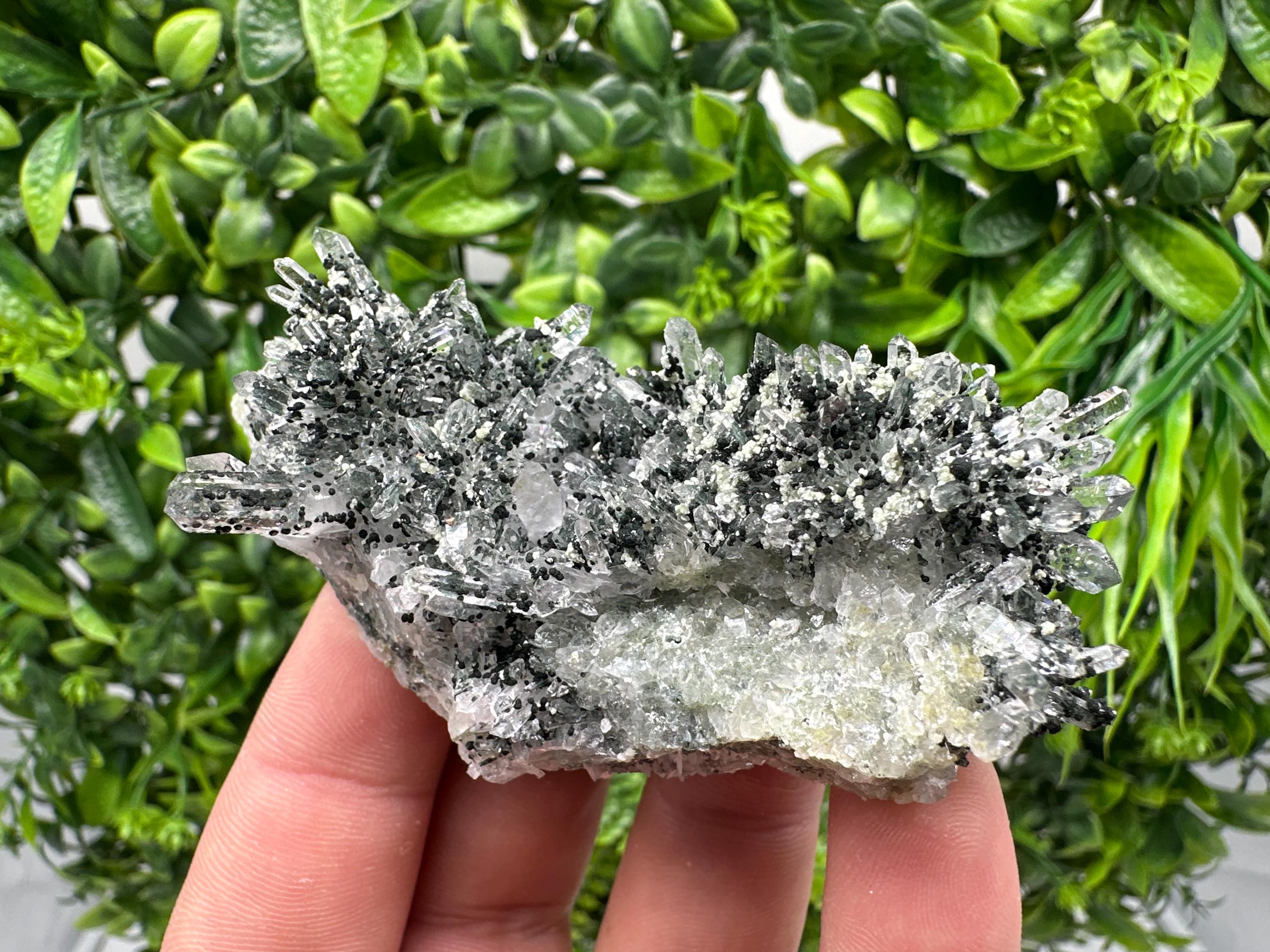 Chlorite Quartz Crystal Cluster - Borieva Mine, Bulgaria