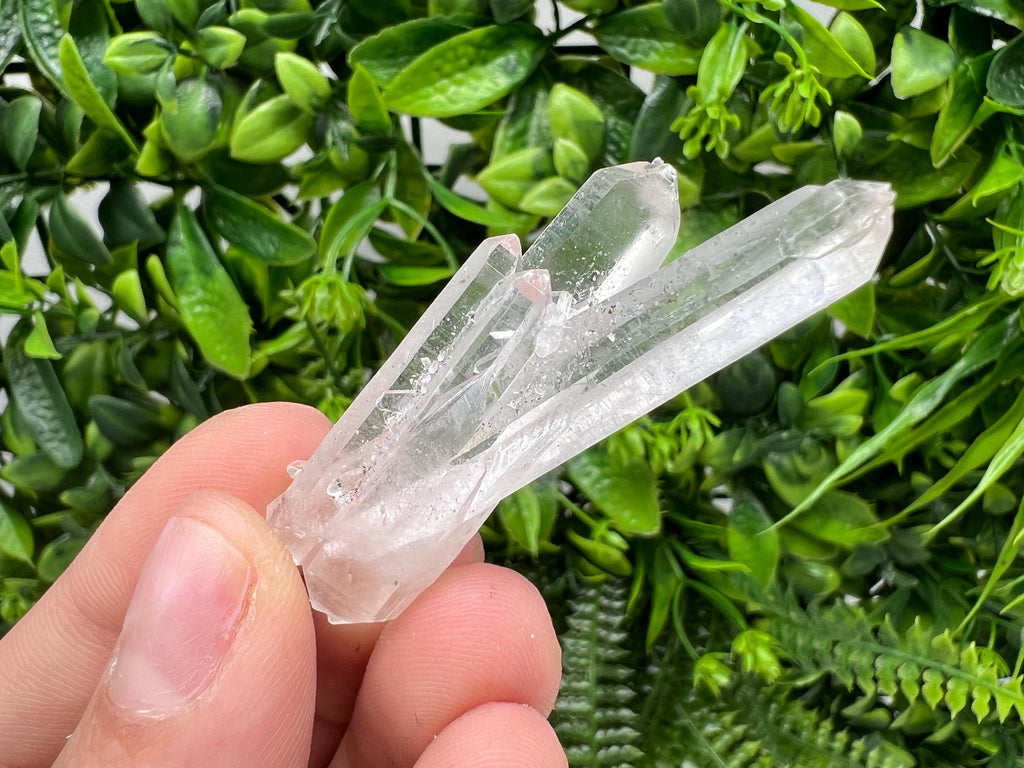 Wonderful Transparent Quartz on Chlorite Matrix,From Borieva mine,Madan,Bulgaria,Quartz,Quartz crystal,mineral specimen,collection quartz