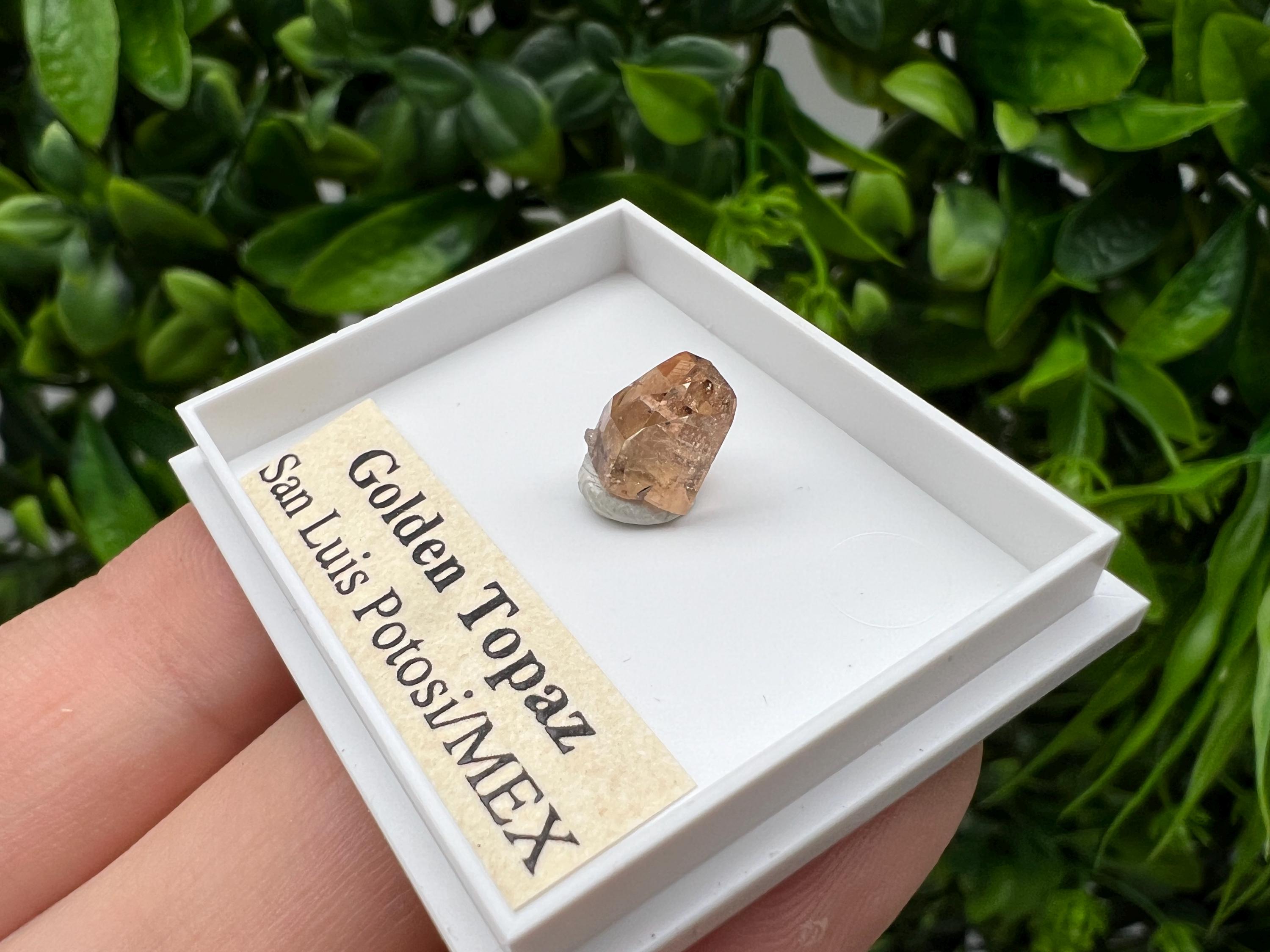 Golden Topaz Crystal, Mexico Mineral Specimen, Collectible