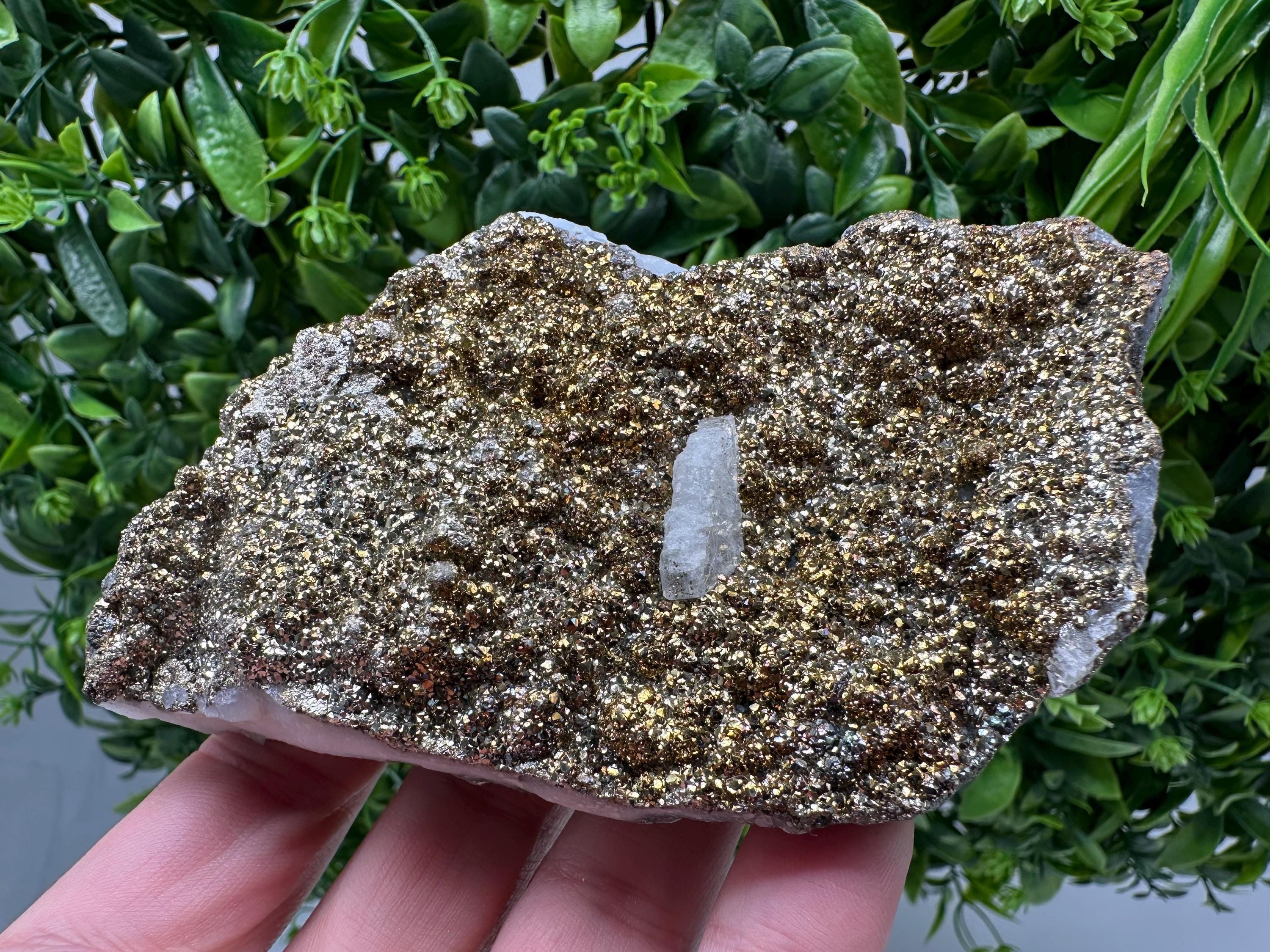 Marcasite Cluster on Chalcedony, Bulgaria Mineral Specimen