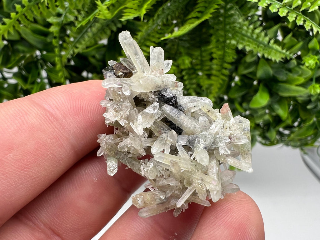 Sphalerite Chalcopyrite on Green Quartz with Hematite, Bulgaria Mineral Specimen