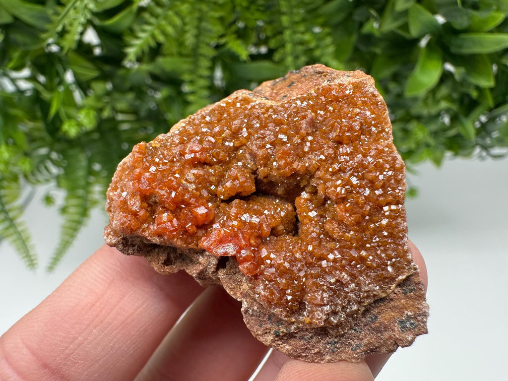Red Vanadinite on Matrix from Marocco,crystal minerals Speciment cluster Vanadinite crystal Vanadinite Geology Vanadinite cluster minerals