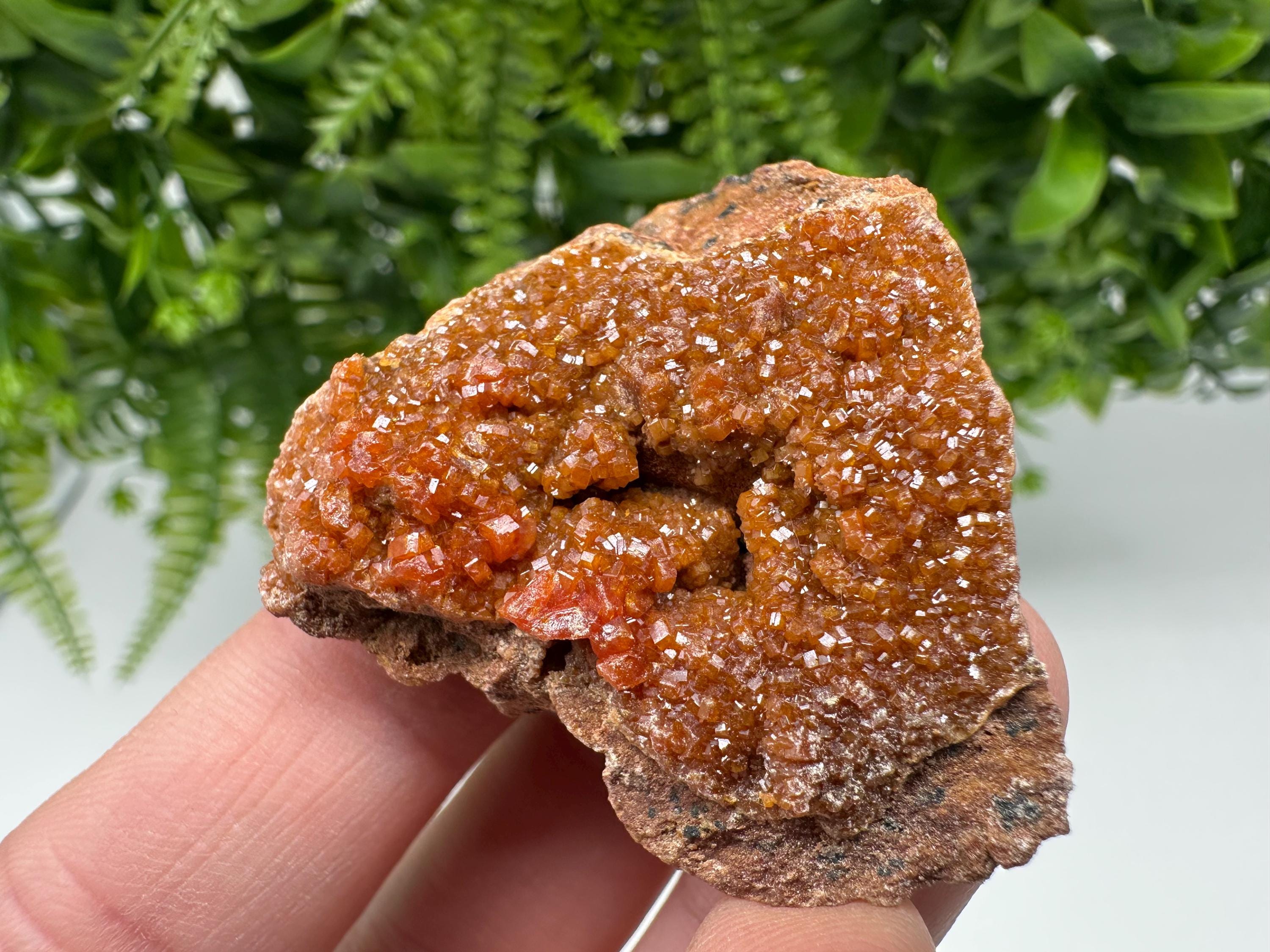 Red Vanadinite on Matrix from Marocco,crystal minerals Speciment cluster Vanadinite crystal Vanadinite Geology Vanadinite cluster minerals
