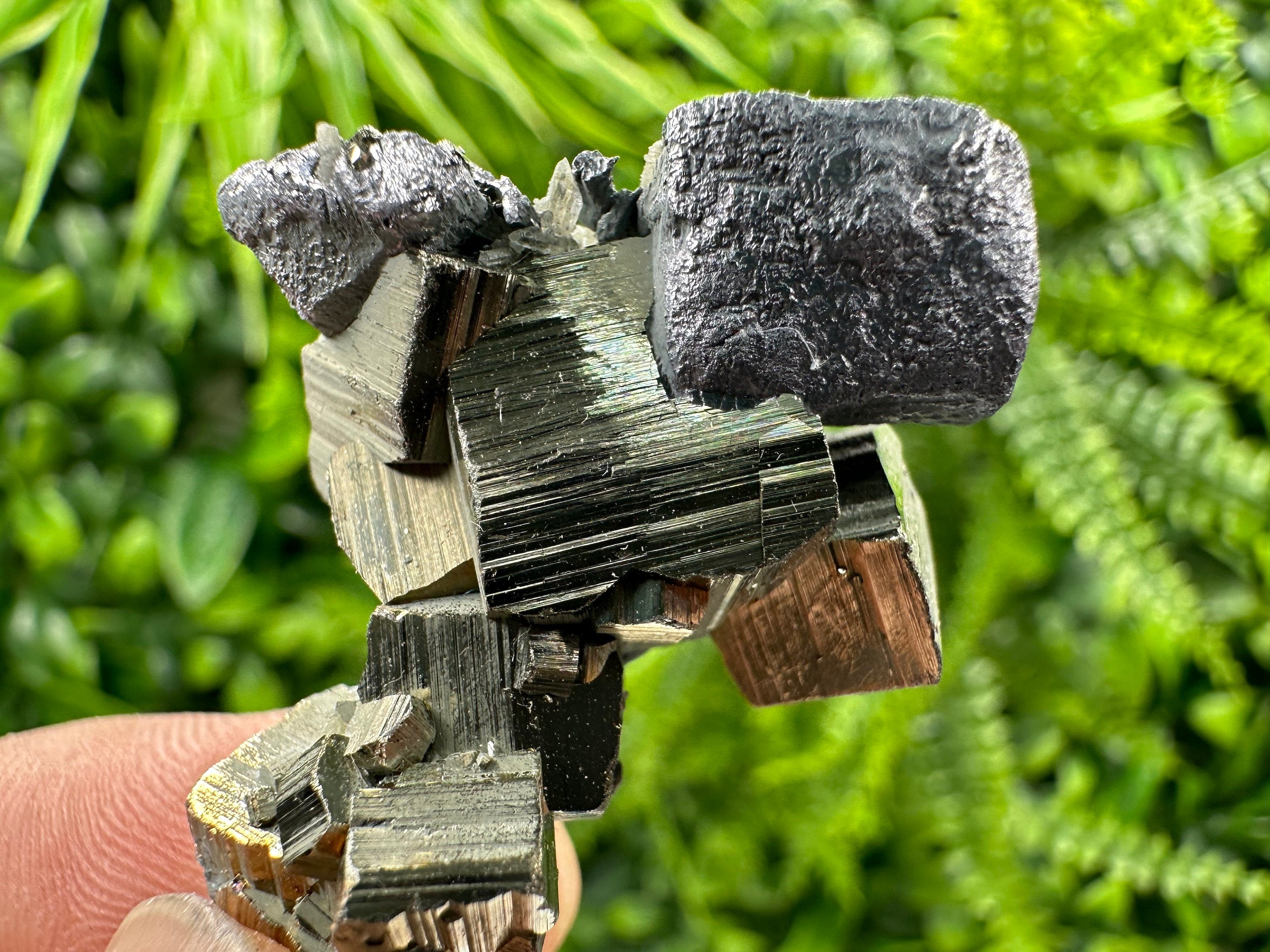 Galena on Pyrite Specimen: Borieva Mine, Bulgaria