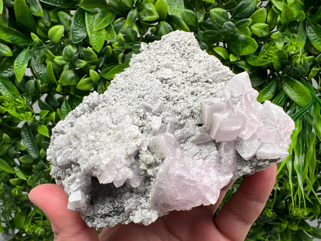 UV Reactive Mangano Calcite Crystal, Androvo Mine Bulgaria