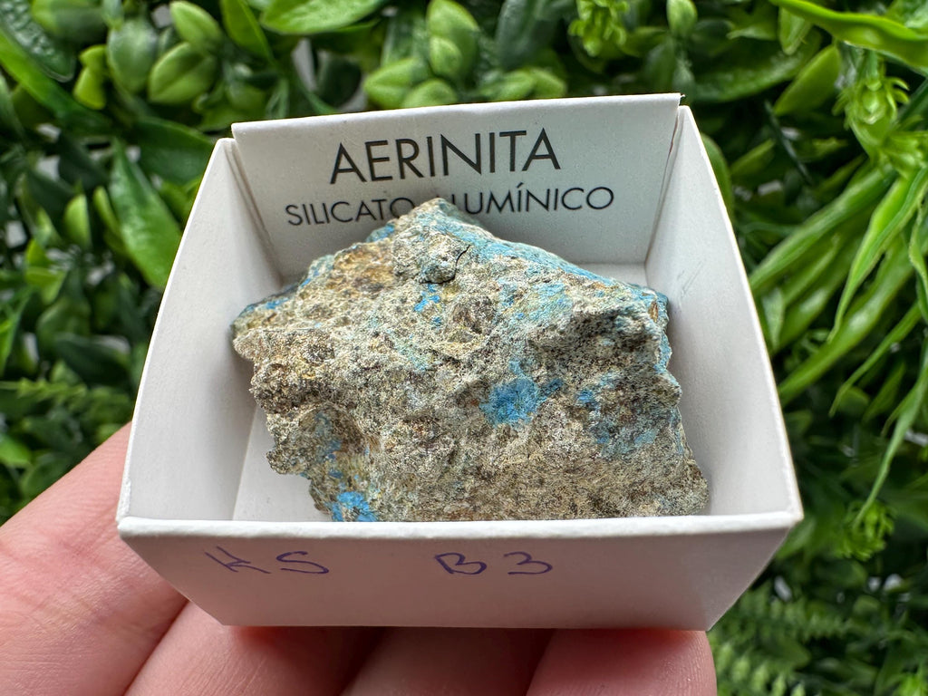 Rare Raw Aerinite Mineral Specimen: Lleida, Spain Crystal