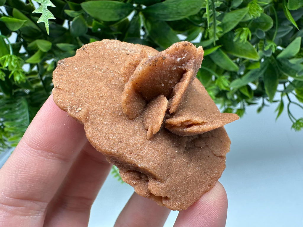 Natural Desert Rose Crystal – Root Chakra Healing Selenite Stone