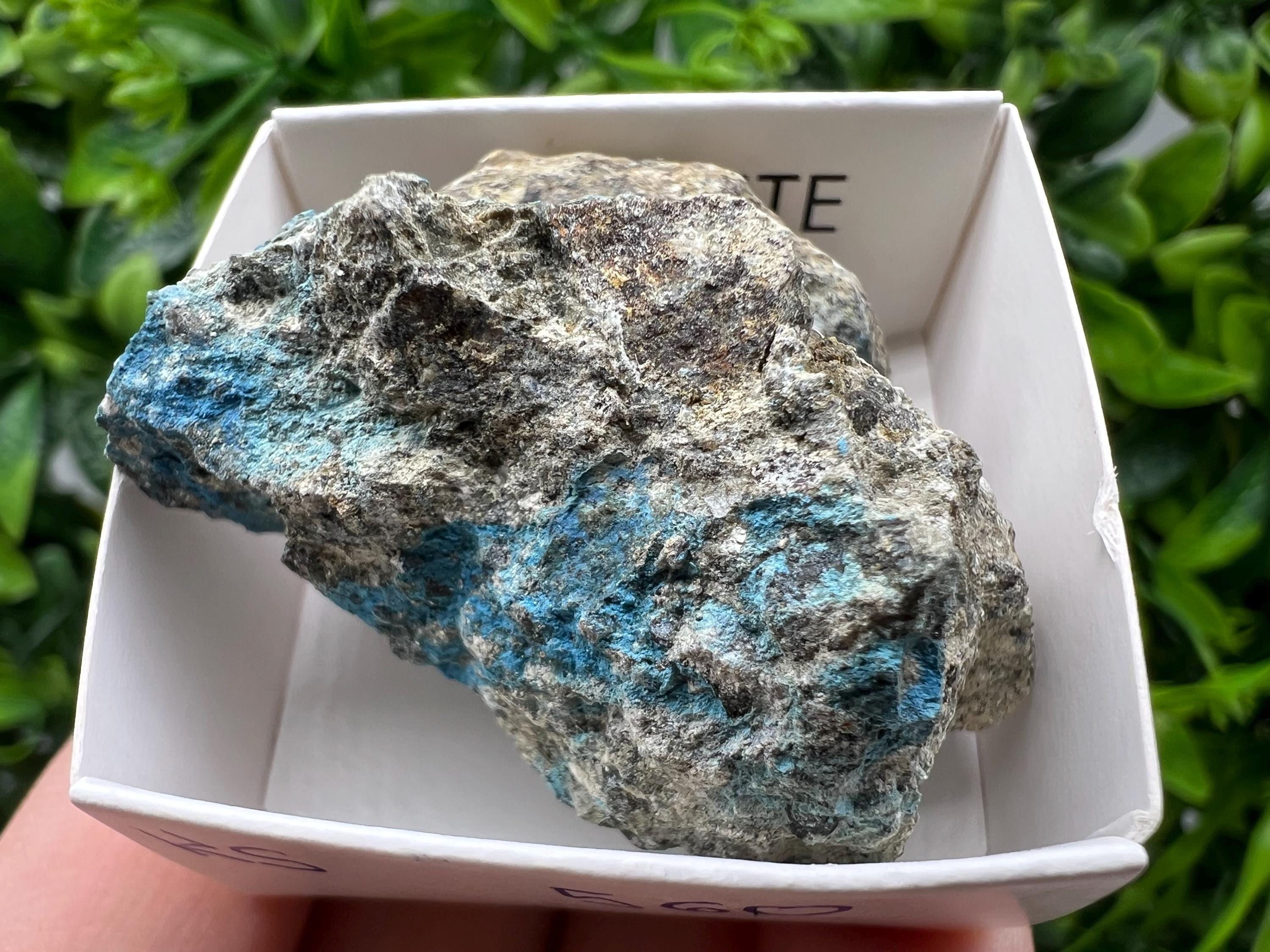 Rare Raw Aerinite Mineral Specimen: Collection Crystal from Lleida, Spain (4.5/4 CM)