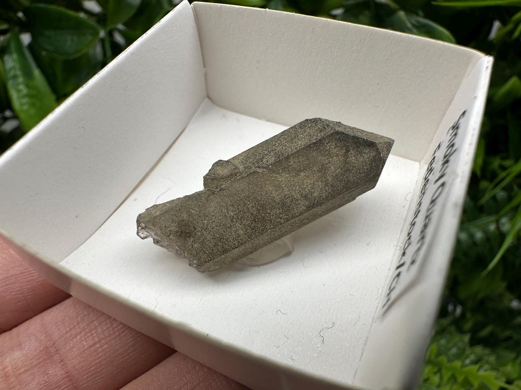 Rare Fedenstock Smoky Quartz Point, Swiss Mineral Specimen (35mm)