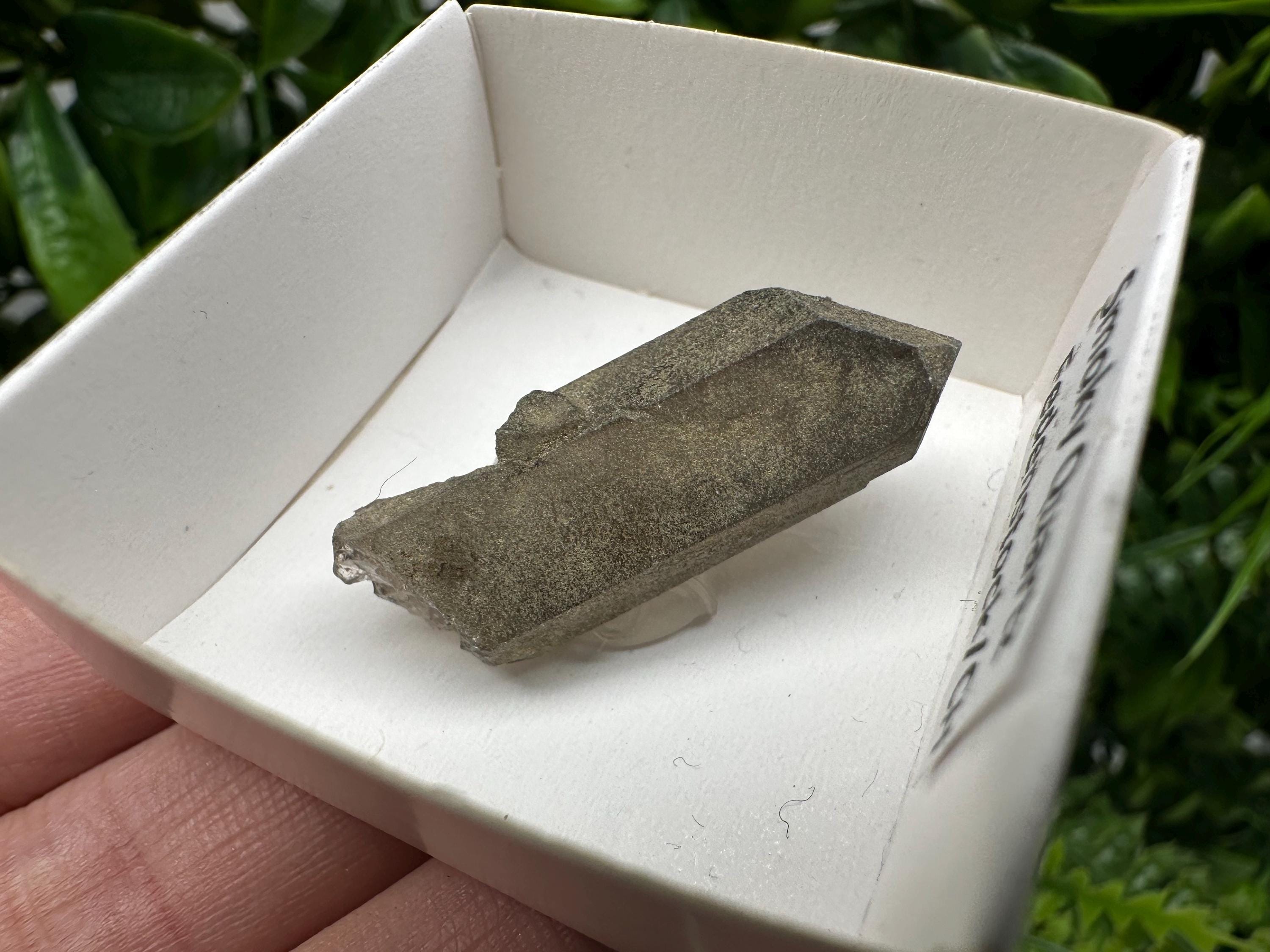 Rare Fedenstock Smoky Quartz Point, Swiss Mineral Specimen (35mm)