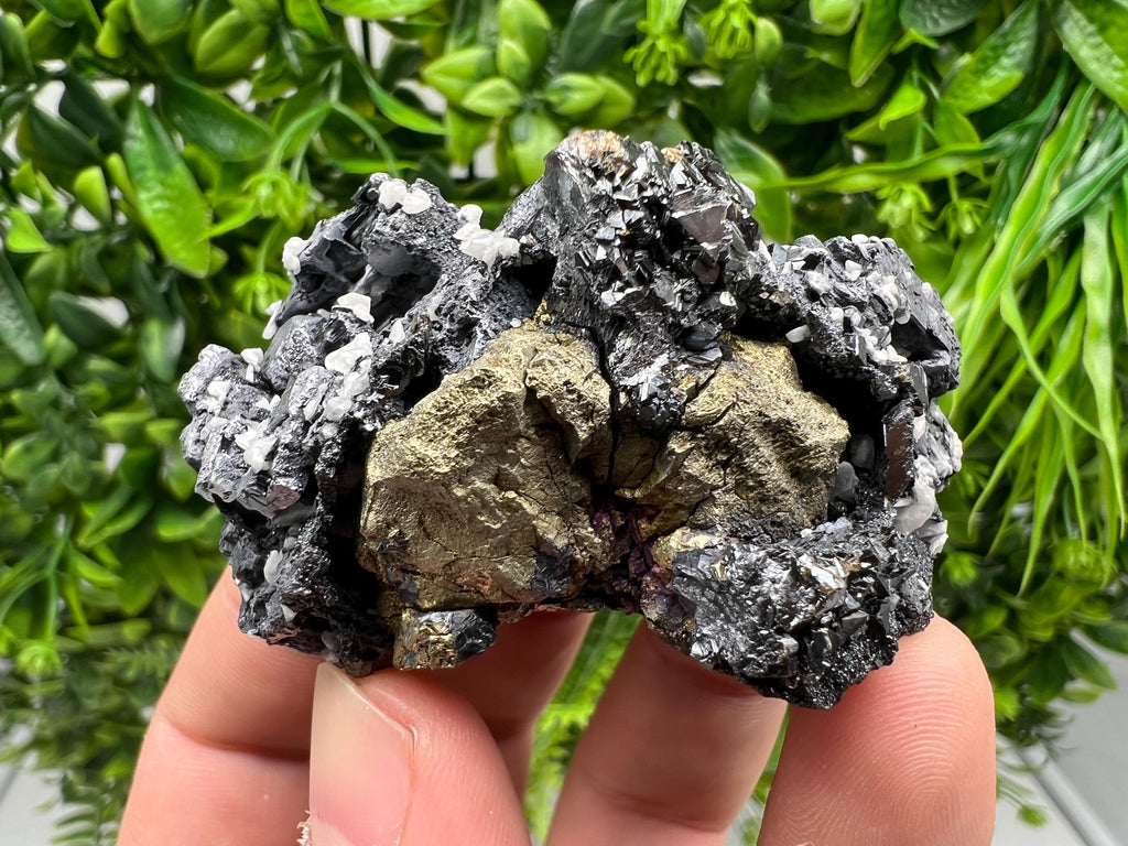 Aesthetic Natural shiny Galena whit Siderite and Quartz from 9 th September mine,Bulgaria,collection specimen,rare galena,Galena cluster