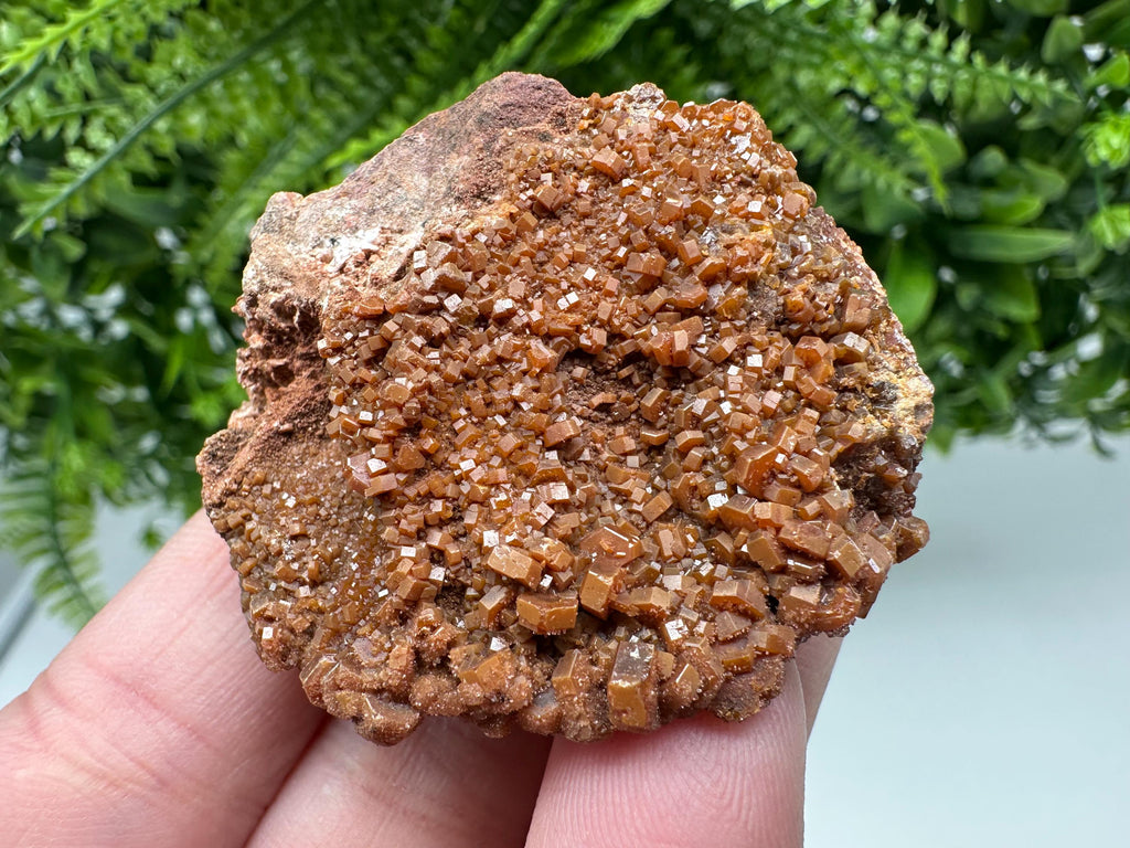 Red Vanadinite on Matrix from Marocco,crystal minerals Speciment cluster Vanadinite crystal Vanadinite Geology Vanadinite cluster minerals