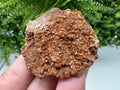 Red Vanadinite on Matrix from Marocco,crystal minerals Speciment cluster Vanadinite crystal Vanadinite Geology Vanadinite cluster minerals