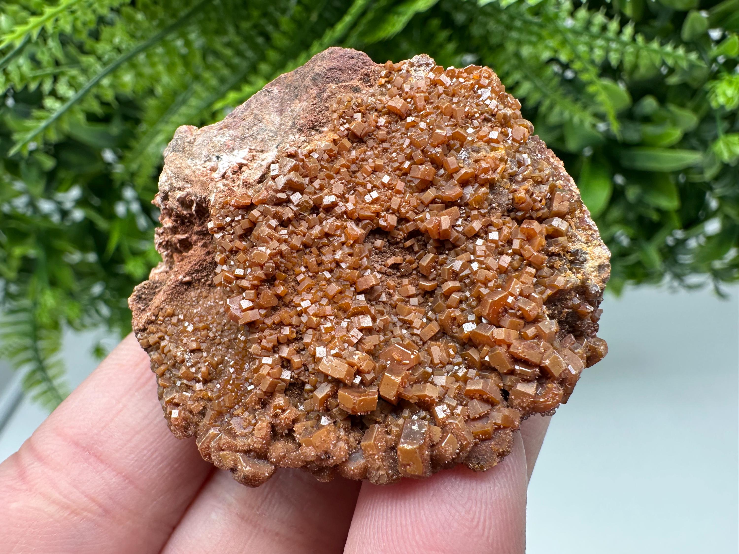 Red Vanadinite on Matrix from Marocco,crystal minerals Speciment cluster Vanadinite crystal Vanadinite Geology Vanadinite cluster minerals
