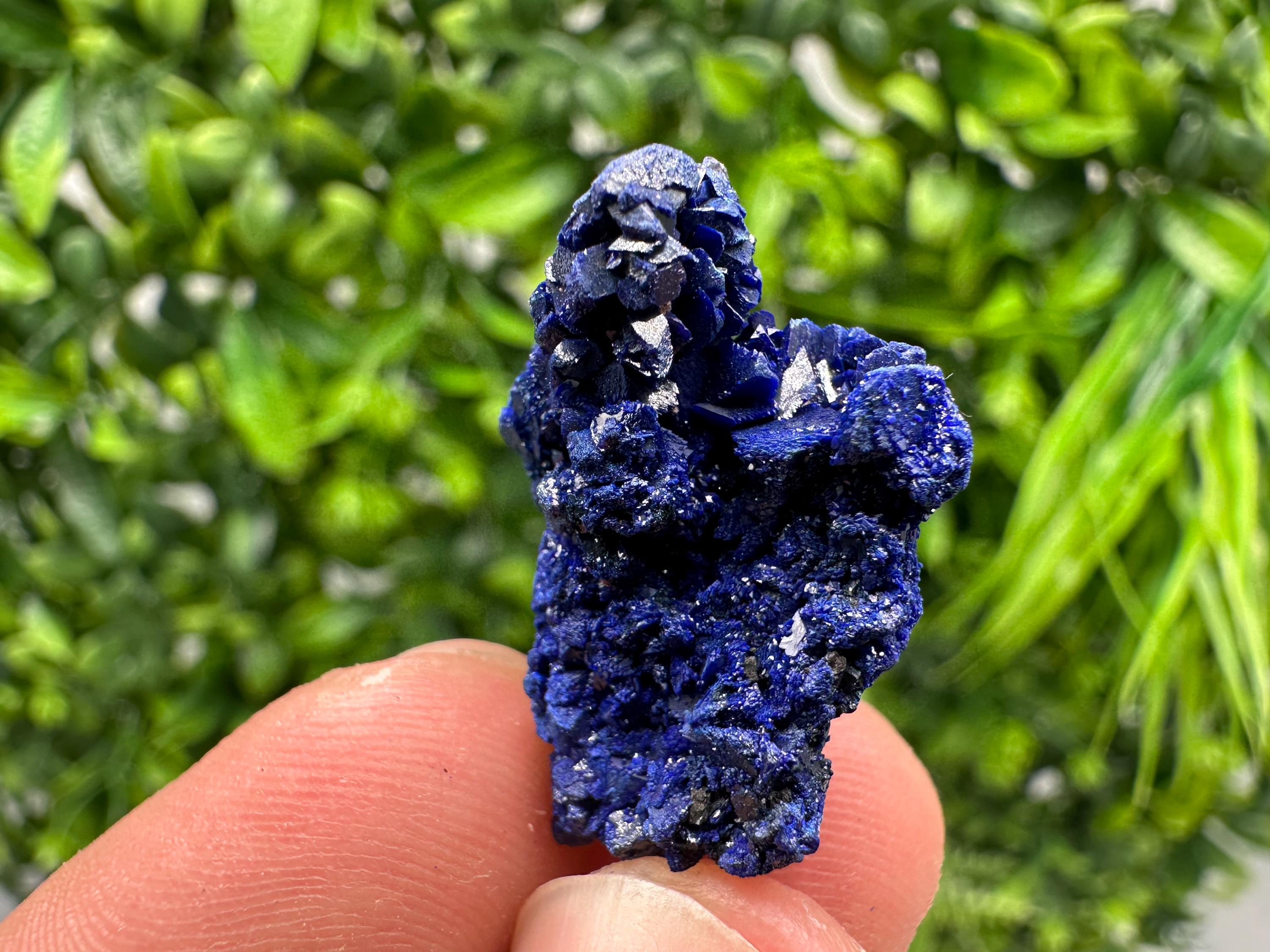 Crystallized Azurite-Kerrouchen,Morocco-Blue Azurite Specimen-High Quality Blue Azurite-Azurite Mineral Specimen, gemmy,lustrous of Azurite