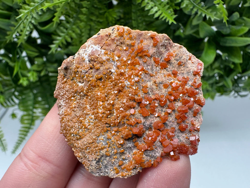 Red Vanadinite on Matrix from Marocco,crystal minerals Speciment cluster Vanadinite crystal Vanadinite Geology Vanadinite cluster minerals