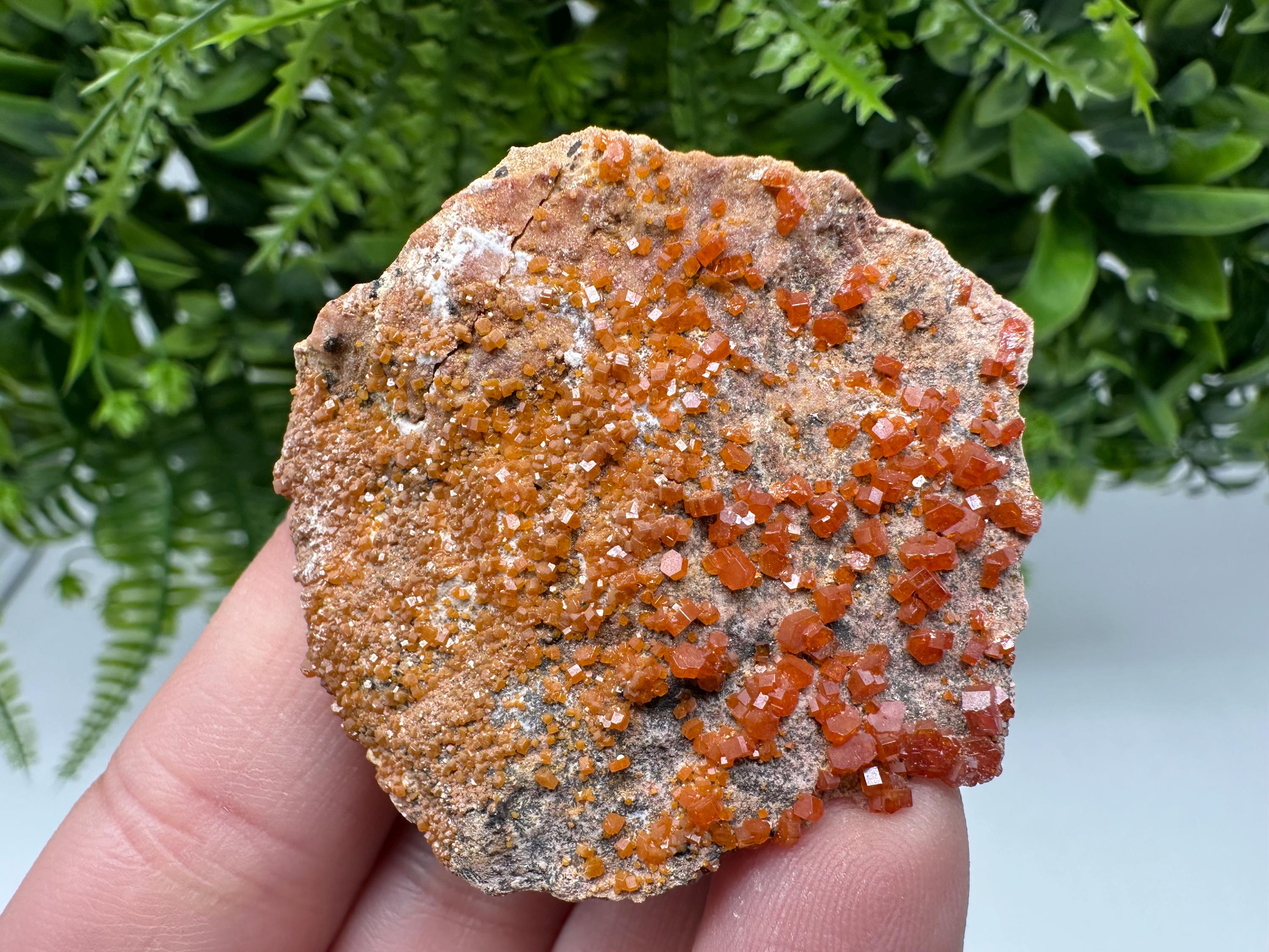 Red Vanadinite on Matrix from Marocco,crystal minerals Speciment cluster Vanadinite crystal Vanadinite Geology Vanadinite cluster minerals