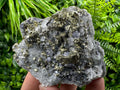 Chalcopyrite Galena on Quartz with Chlorite - Madan Bulgaria Crystal Decor