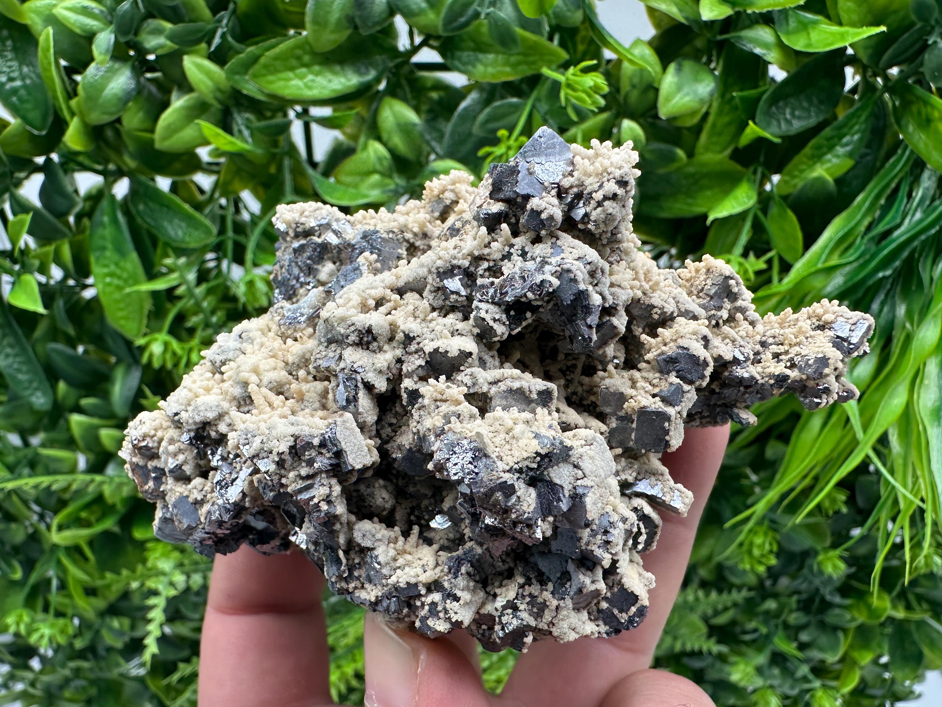 Galena Dolomite Cluster, Krushev dol Bulgaria Mineral Specimen