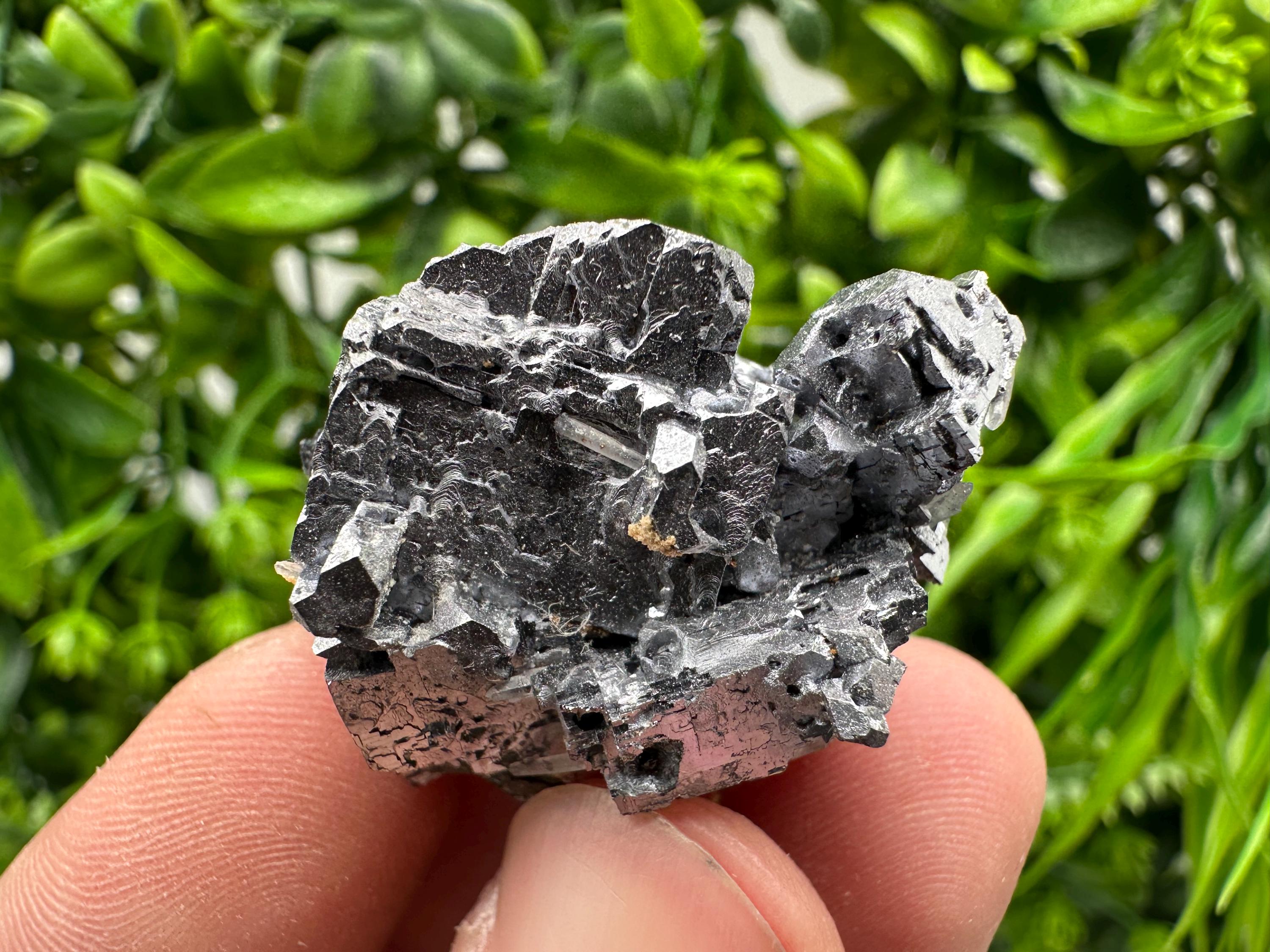 Skeletal Galena on Sphalerite Crystal Mineral Specimen