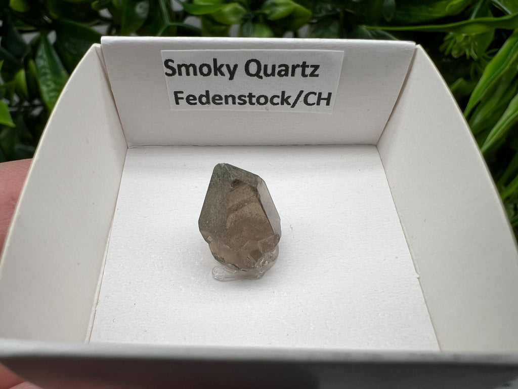 Rare Fedenstock Smoky Quartz Point, Swiss Mineral Specimen (15MM)