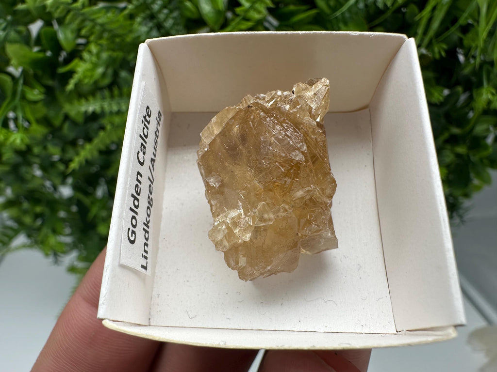 Raw Honey Calcite Crystal: Rough Golden Stone (3.5/2.5 cm)