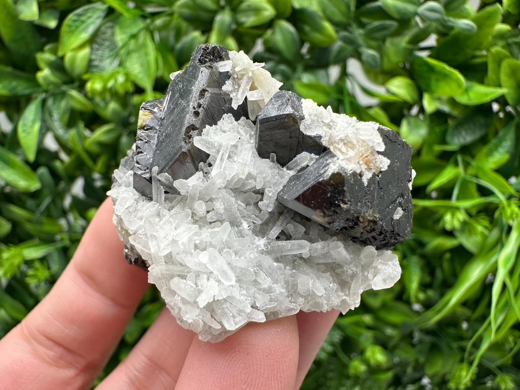Wonderful Sphalerite Chalcopyrite on  Quartz whit Galena feom 9 th September mine,Bulgaria,natural,collection mineral specimen,gift