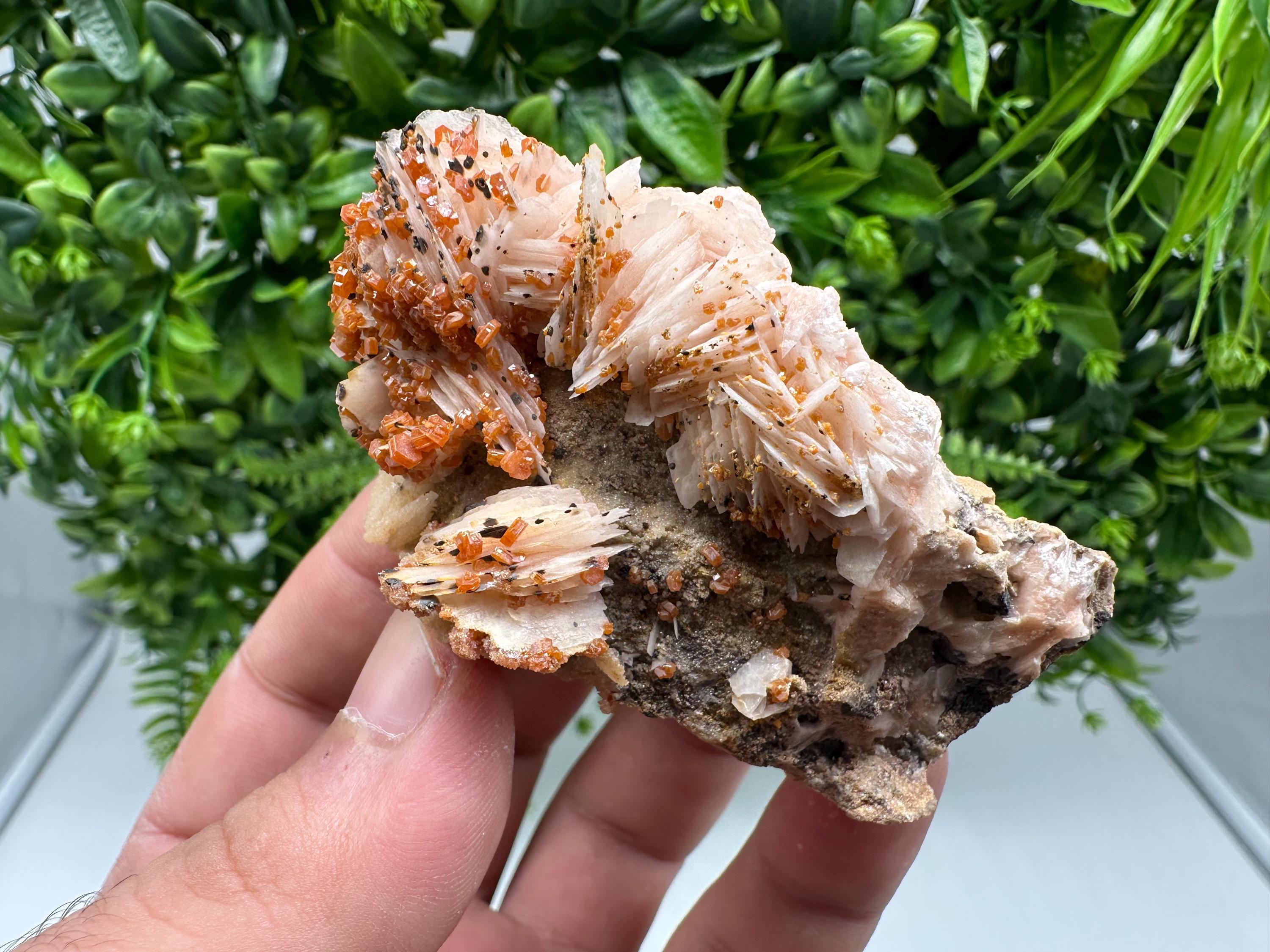 Red Vanadinite on Barite from Marocco,crystal minerals Speciment cluster Vanadinite crystal Vanadinite Geology Vanadinite cluster minerals