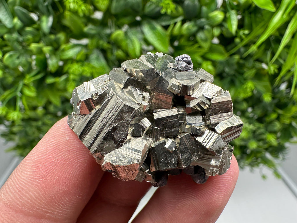 Golden Pyrite Cluster, Sphalerite Mineral Specimen, Bulgaria