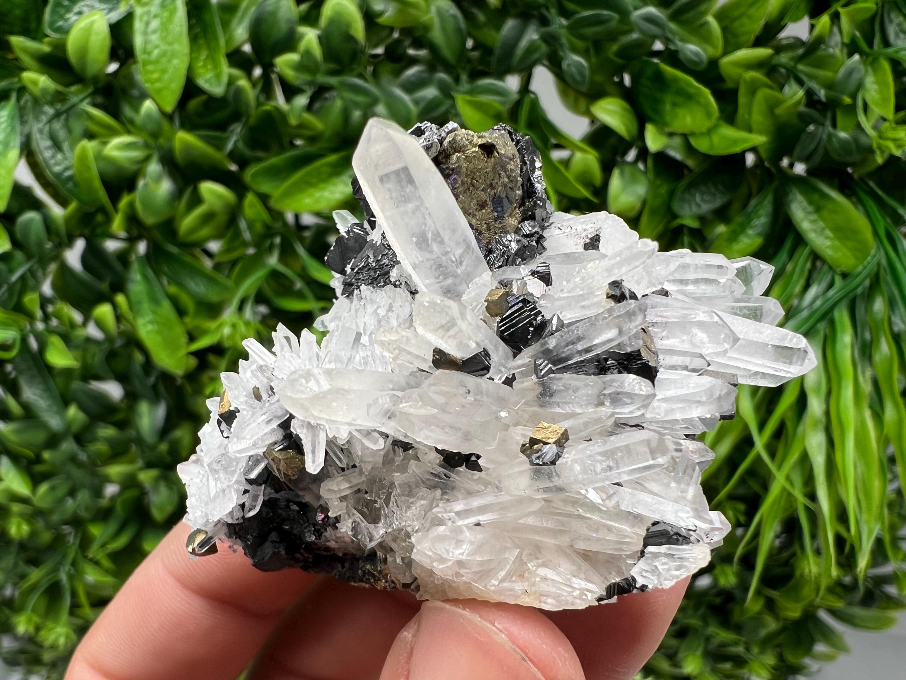 Wonderful Sphalerite Chalcopyrite on Green Quartz whit Hematite feom 9 th September mine,Bulgaria,natural,collection mineral specimen,gift