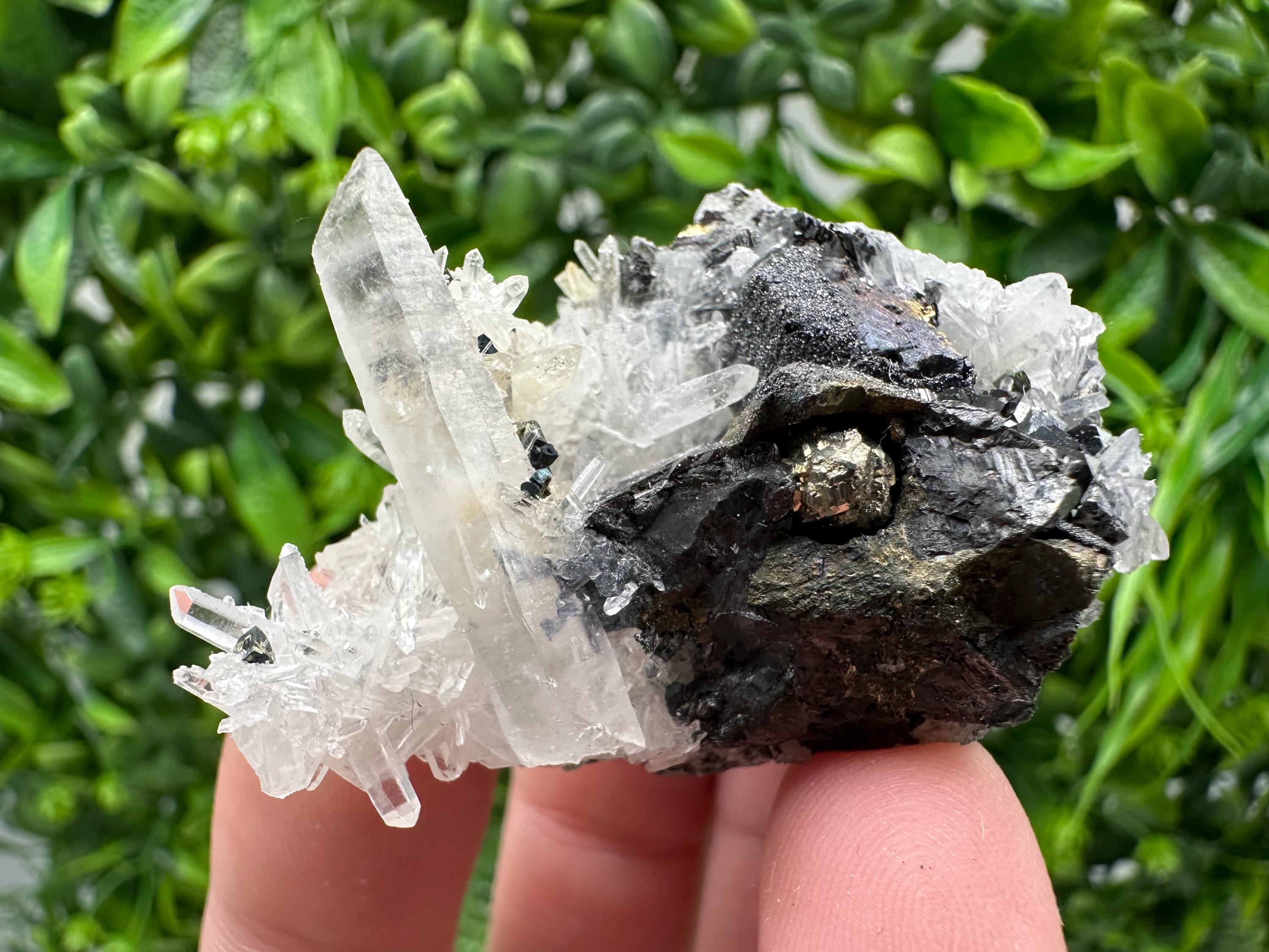 Wonderful Sphalerite Chalcopyrite on  Quartz whit Galena feom 9 th September mine,Bulgaria,natural,collection mineral specimen,gift