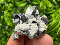 Galena Spinel with Quartz and Calcite, Borieva Mine Mineral Specimen
