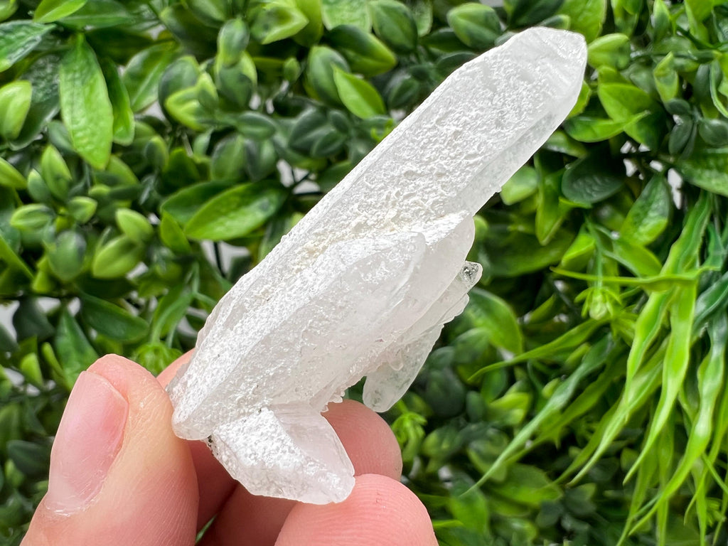 Transparent Quartz on Chlorite Matrix, Borieva Mine, Bulgaria