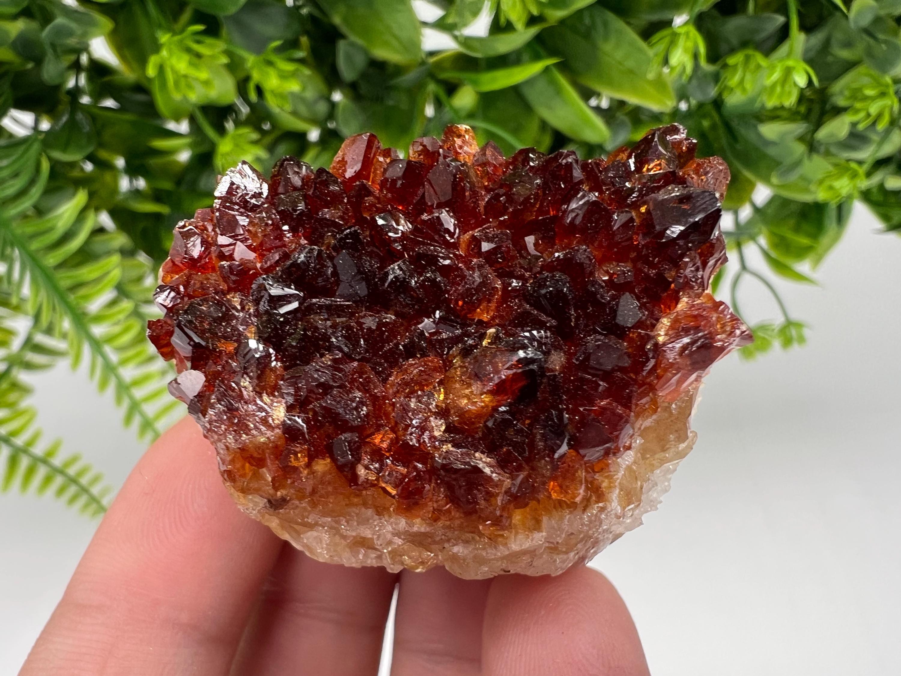 Citrine Crystal Cluster with Hematite Inclusions - Brazil