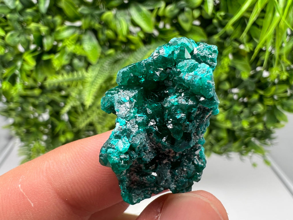 Stunning Green Dioptase from Sanda Hills,Mindouli,Pool Department,Mindouli District,Congo,green Dioptase,Dioptas Crystal,Dioptase collecting