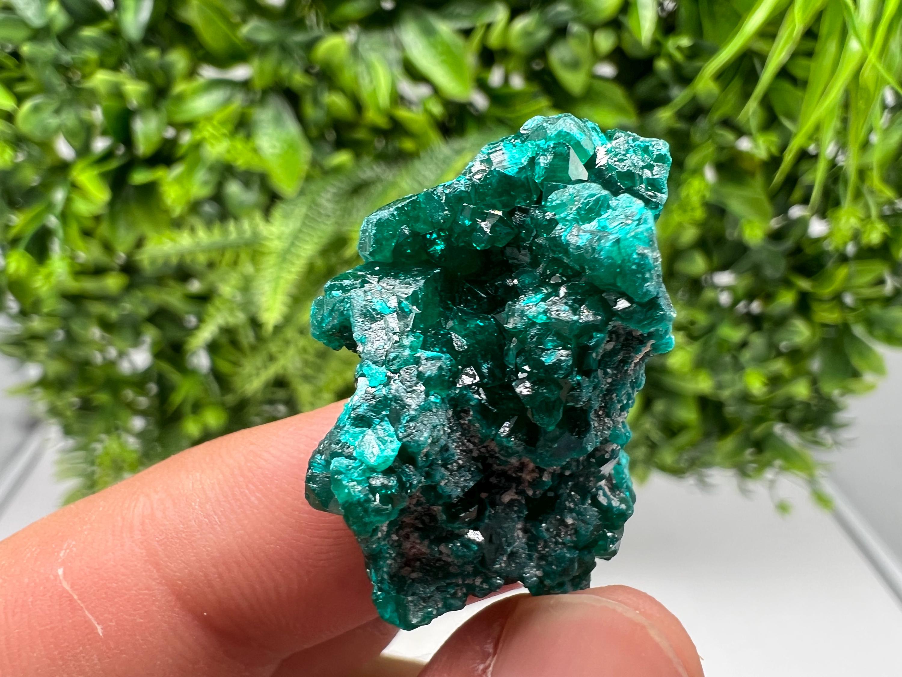Stunning Green Dioptase from Sanda Hills,Mindouli,Pool Department,Mindouli District,Congo,green Dioptase,Dioptas Crystal,Dioptase collecting