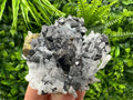 Chalcopyrite, Galena, Sphalerite on Quartz: Bulgaria Mineral Souvenir